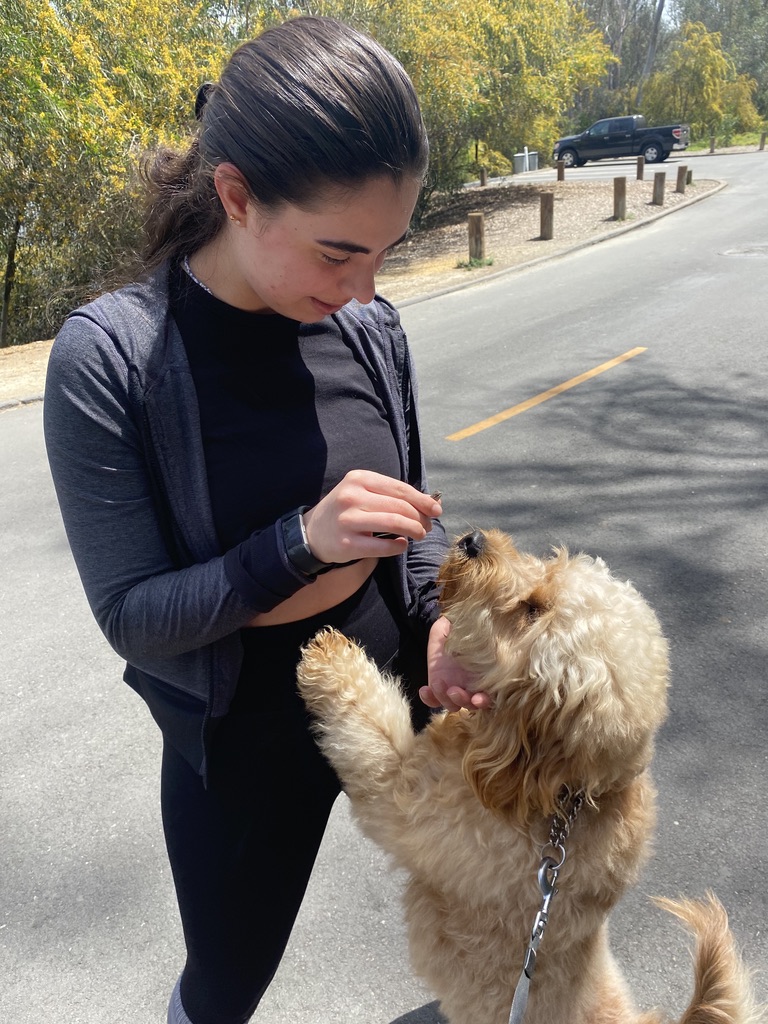 Girl & Dog